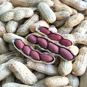 amendoim-valencia-180x180
